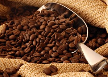 ¡ATENCIÓN! ¿Café y Chocolate en peligro de extinción? 4 ¡ATENCIÓN! ¿Café y Chocolate en peligro de extinción?
