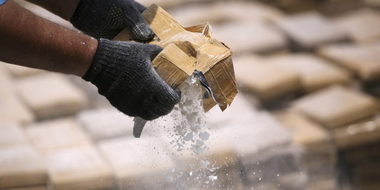 «No solo de pan vive el hombre»: Aumenta la producción de drogas en Colombia