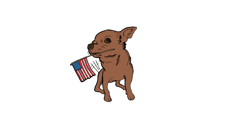 Carola Chávez: «La Era del Perrito»