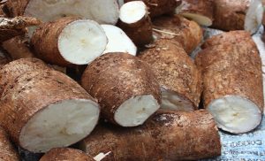 xyuca.jpg.pagespeed.ic.w7K9l-g7eR