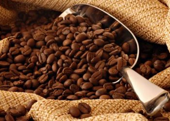 ¡Por las Nubes! Aumenta la producción de Café en el País