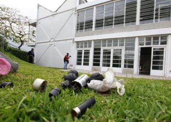 Los niños, las niñas y la Constitución 5 Los niños, las niñas y la Constitución