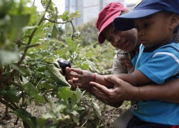 ¡En crecimiento! Aquí te contamos cuáles son los avances en materia de producción agrícola