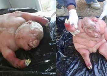 ¡Increíble! Una oveja parió una criatura que parece mitad humana