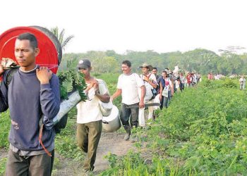 Colombia y el conflicto del pueblo por el Chocó 4 Colombia y el conflicto del pueblo por el Chocó