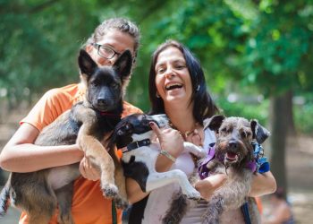 4 de octubre Día Mundial de los Animales