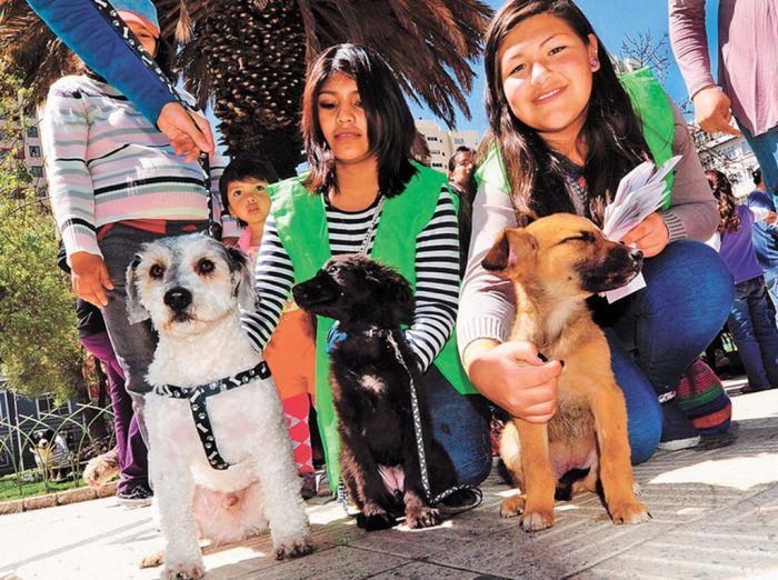 En defensa de los animales 