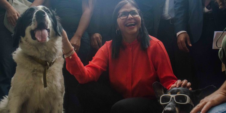 Qué dejo la jornada por el día Mundial de los Animales