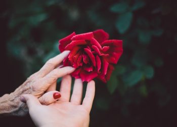¡De infarto! Esta es la historia de Mauricio y Yolanda, una pareja con 68 años de diferencia