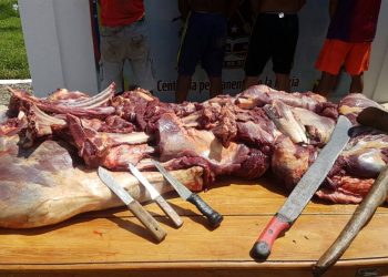 ¡Escalofriante! 4 hombres mataron a caballos para venderlos como carne de res (+Fotos)