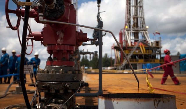 Los Injertos Socialistas de PDVSA