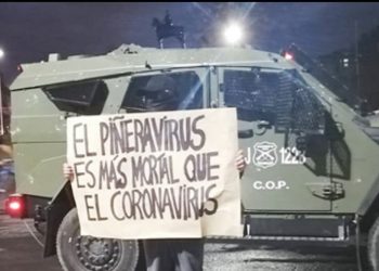 Piñeravirus