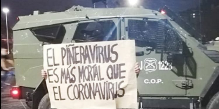 Piñeravirus