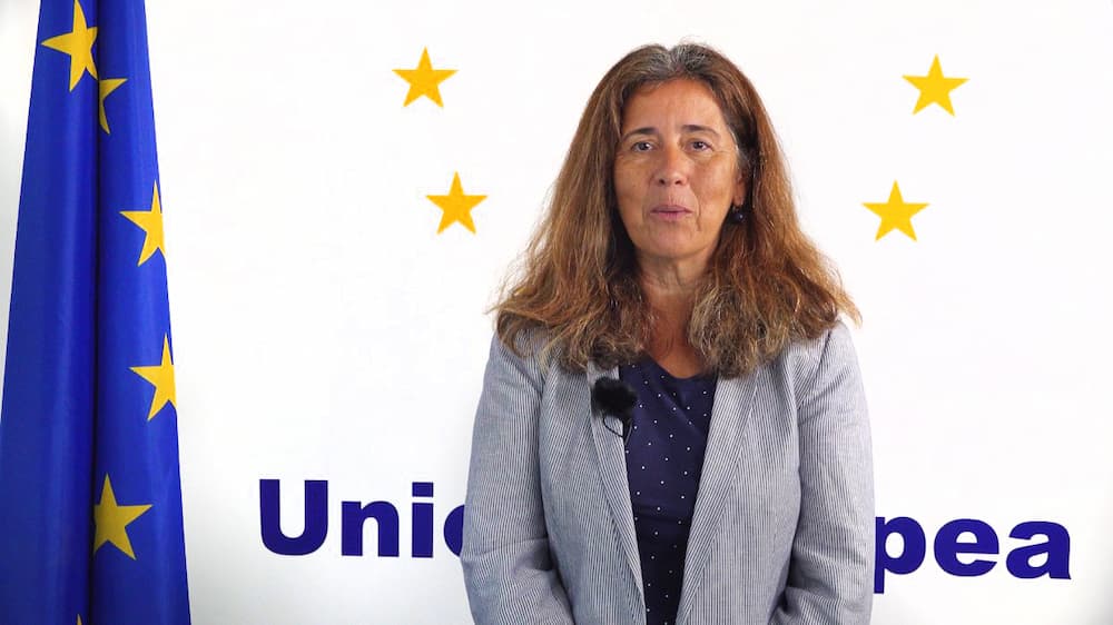 Cuatro maneras de defender un crimen 2 278 isabel-brilhante-pedrosa-jefa-de-la-delegacion-de-la-ue-en-venezuela