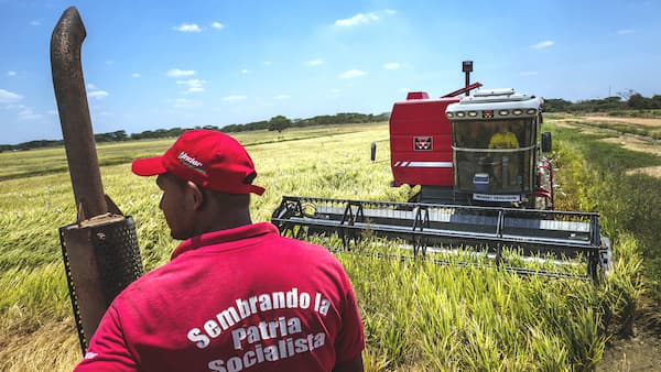 AN discutirá Leyes Económicas en siete estados 1 Venezuela-agricultura