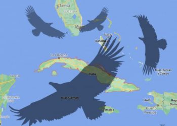 Bloqueo de Cuba