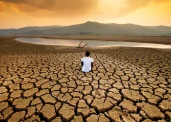 Cambio climático
