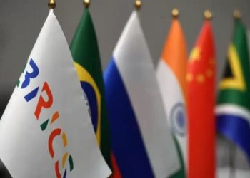 LOS BRICS: Nuevo orden económico y patada al hegemón 8 LOS BRICS: Nuevo orden económico y patada al hegemón