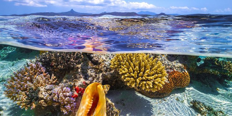 El robo de los mares a los países del Sur 1 El robo de los mares a los países del Sur