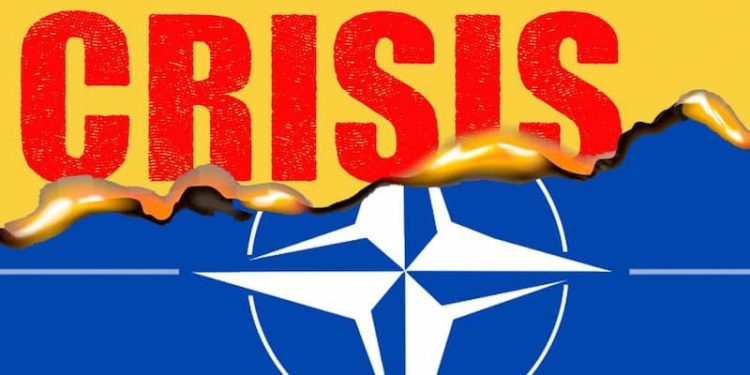 Así arde un falso jardín 1 Francia enguarimbada