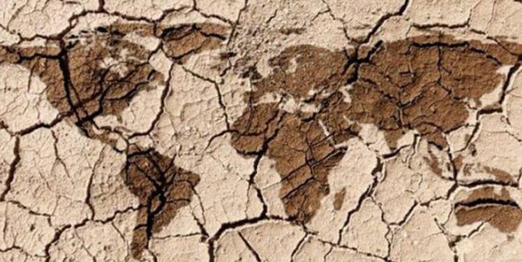 Un mundo en crisis, una tragedia en números