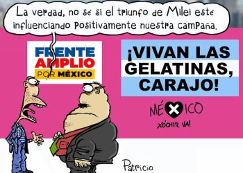 «… el reformismo, por el hecho mismo de sacudir hasta sus cimientos a la sociedad burguesa, sin atreverse a destruirla, acaba por constituirse en la antesala de la contrarrevolución». Ruy Mauro Marini