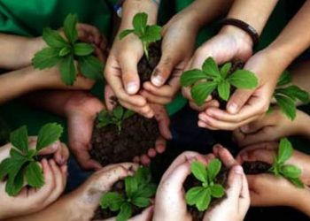 Una Juventud Ecologista para salvar a la humanidad