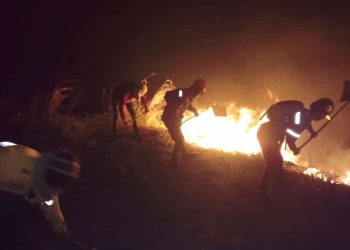 Incendios forestales: ¿La nueva guarimba? 5 Incendios forestales: ¿La nueva guarimba?