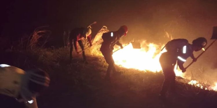 Incendios forestales: ¿La nueva guarimba? 1 Incendios forestales: ¿La nueva guarimba?