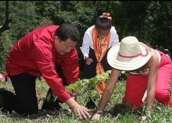 ¿Qué nos queda? | Lluvias y reforestación 6 Qué nos queda - Lluvias y reforestación
