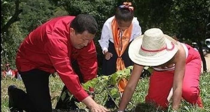 ¿Qué nos queda? | Lluvias y reforestación 1 Qué nos queda - Lluvias y reforestación