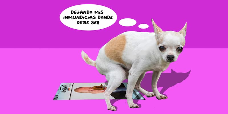 Tinta cruda | El afiche andante 1 Tinta cruda | El afiche andante