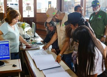 Paralizan actividades en 21 empresas del área forestal en Venezuela por manejo ilegal