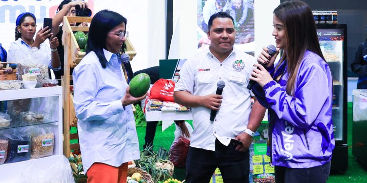Aguacate de Yaracuy recibe Certificado de Indicación Geográfica Protegida en respaldo a la calidad y al productor nacional 1 Aguacate de Yaracuy recibe Certificado de Indicación Geográfica Protegida en respaldo a la calidad y al productor nacional