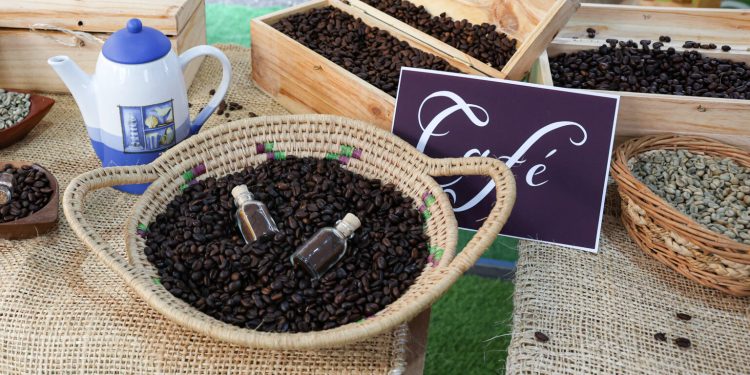 Portuguesa se convierte en epicentro agroindustrial con la Expo Fedecámaras 1 Portuguesa se convierte en epicentro agroindustrial con la Expo Fedecámaras
