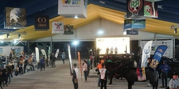 La Expoferia Nacional 2026 convertirá a Caracas en el epicentro del potencial agropecuario de Venezuela 1 La Expoferia Nacional 2026 convertirá a Caracas en el epicentro del potencial agropecuario de Venezuela