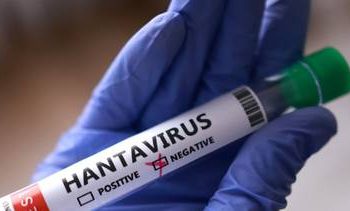 Científicos argentinos prueban con éxito un spray nasal para prevenir el hantavirus 6 Científicos argentinos prueban con éxito un spray nasal para prevenir el hantavirus
