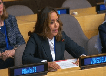 Venezuela en ECOSOC: “La energía es un bien estratégico para el desarrollo de los pueblos, no una simple mercancía” 4 Venezuela en ECOSOC: “La energía es un bien estratégico para el desarrollo de los pueblos, no una simple mercancía”