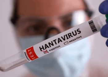 OMS: riesgo global por hantavirus es bajo 3 OMS: riesgo global por hantavirus es bajo