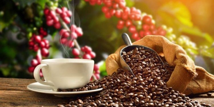 El café venezolano conquista el mercado asiático en la prestigiosa feria FHA Singapur 2026 1 El café venezolano conquista el mercado asiático en la prestigiosa feria FHA Singapur 2026