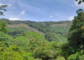 Presidenta (E) aprueba la ampliación del Parque Nacional Terepaima 5 Presidenta (E) aprueba la ampliación del Parque Nacional Terepaima