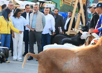 Presidenta (E) Delcy Rodríguez ratifica defensa de la soberanía y el impulso productivo frente al bloqueo