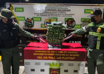 Desmantelan intento de tráfico de drogas en el PAC “La Playita” en Mérida